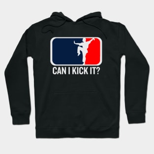 Can I kick it, Kung Fu, Karate, Can I kick it Hoodie